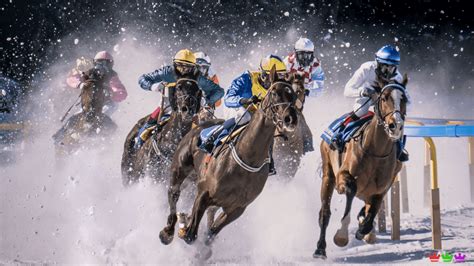 virtual racing sprintvalley|mclean bookmakers sprintvalley.